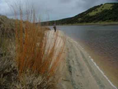 Kapowairua (Spirits Bay) Campsite