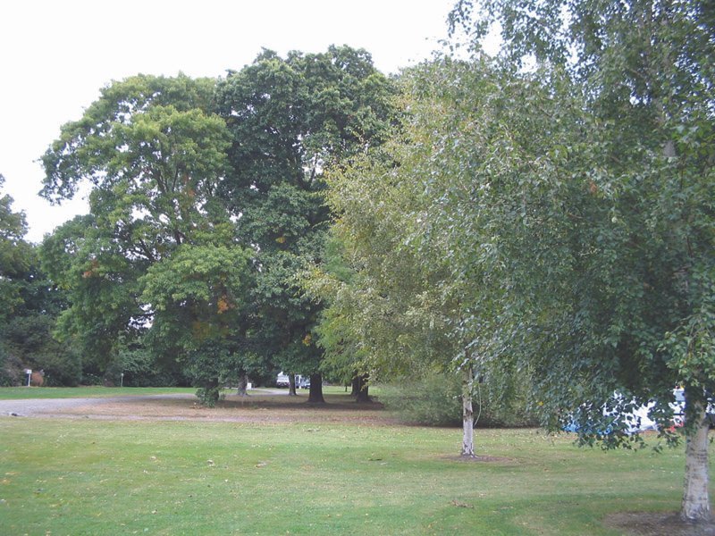 Knottingley Park
