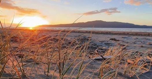 Kapiti Holiday Resort