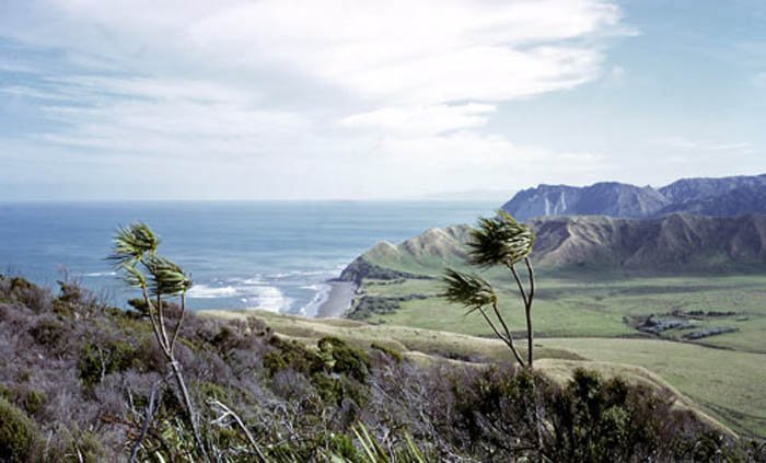 Cape Runaway Campground