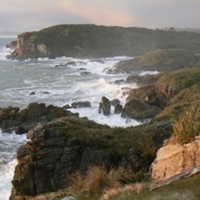 Charleston Holiday Park and Motor Camp