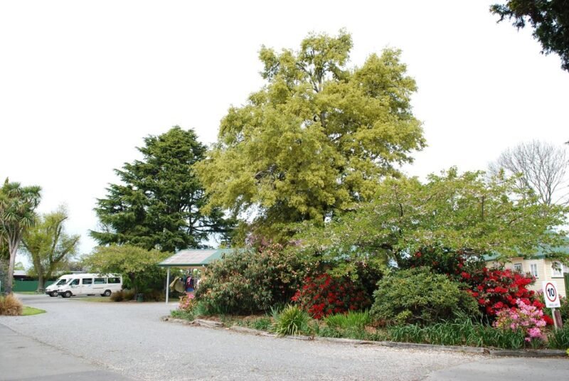 Coronation Park Motels and Motor Camp
