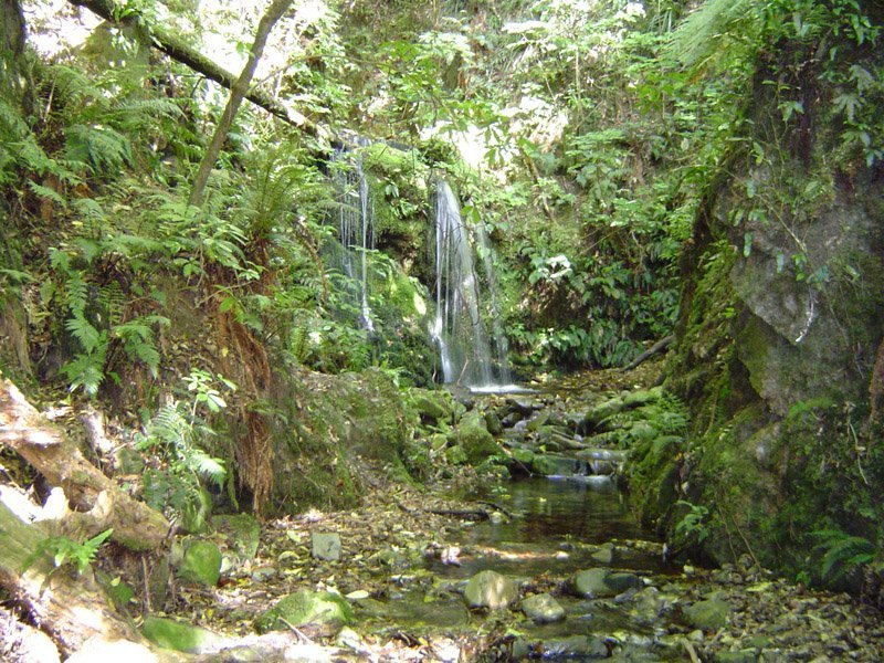 Kelceys Bush Holiday Park