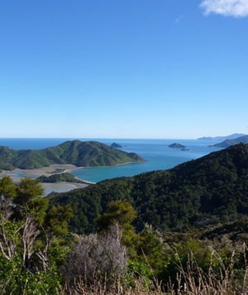 Elaine Bay