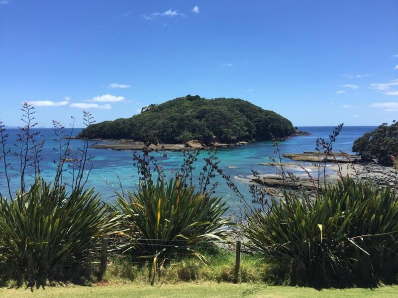 Goat Island Camping, New Zealand