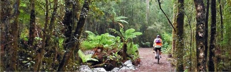 Greymouth KIWI Holiday Park & Motels.