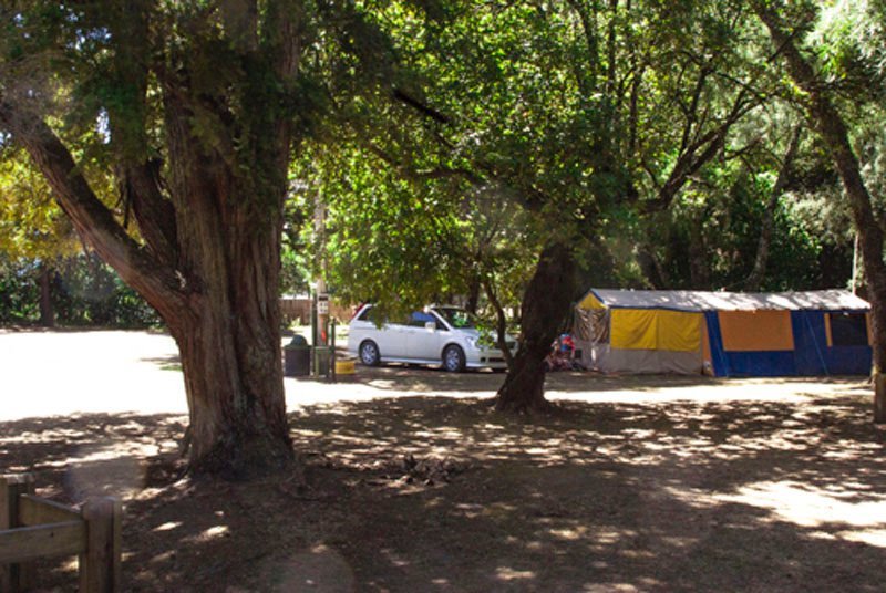 Greytown Campground