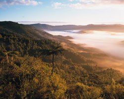 Hunua Ranges Regional Park