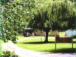 Kawhia Camping Ground
