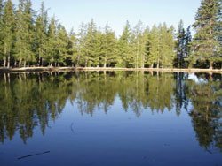 Naseby Holiday Park