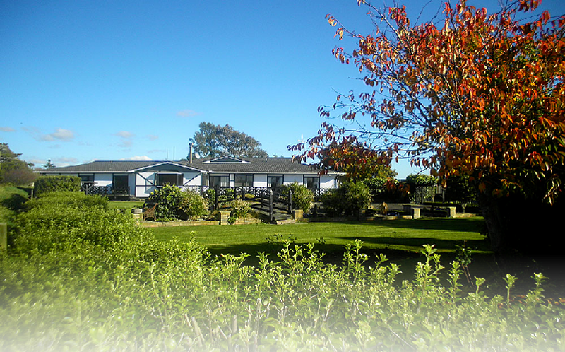 Lazy Acres Lodge and Homestead