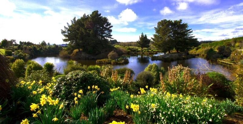 Lignite Pit Cafe and Gardens.