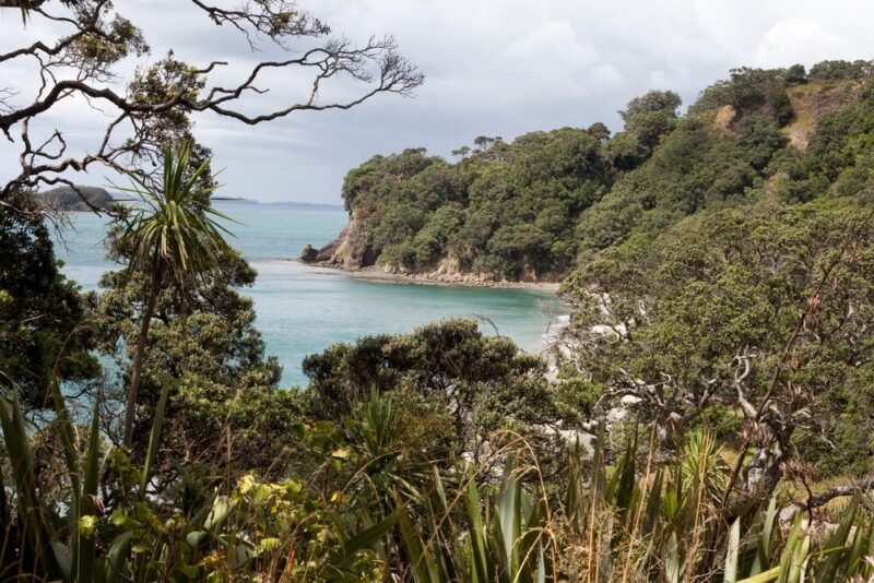Mahurangi Regional Park