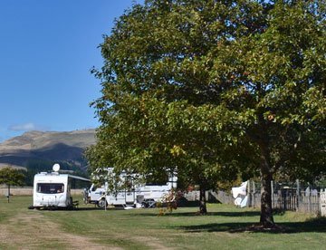 Makotuku Domain Camp