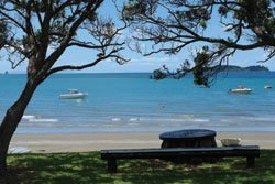 Martins Bay Holiday Park