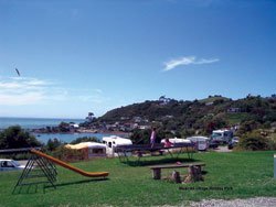 Moeraki Village Holiday Park
