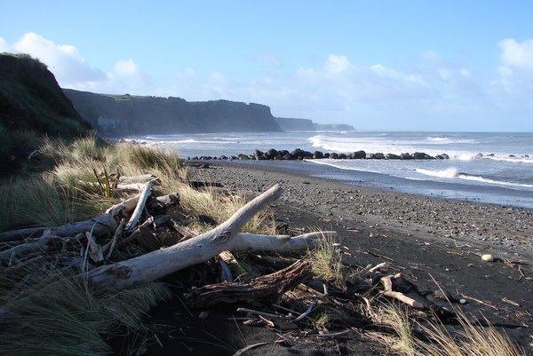 Ohawe Beach Camp