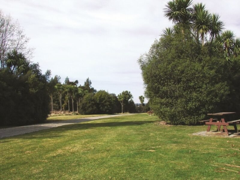 Orari Gorge Camping Area