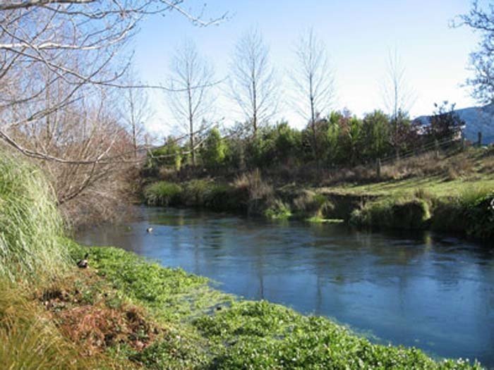 Spring Creek Holiday Park
