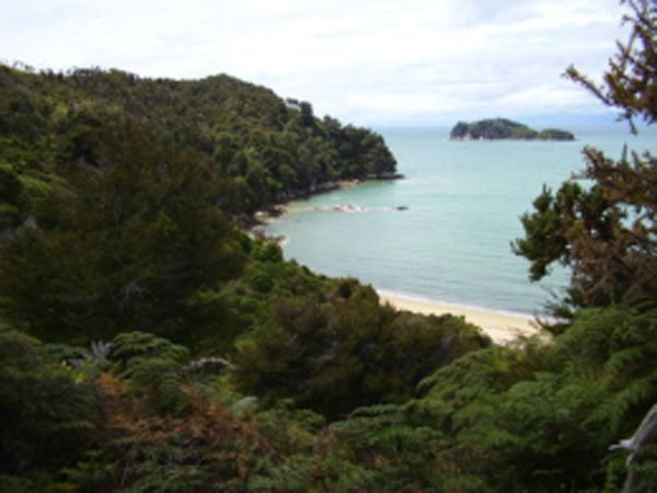 Tapawera Settle Holiday Park