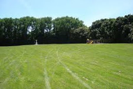 Te Ngutu O Te Manu Domain Camp