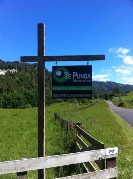Te Punga Homestead