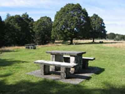 Thicket Burn Conservation Campsite