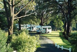 Twin Pines Tourist Park