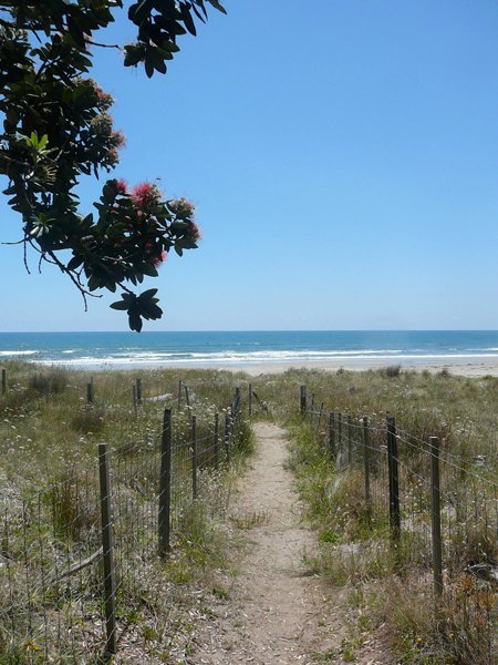 Waihau Bay Holiday Park