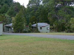 Waipoua Forest Camping Area