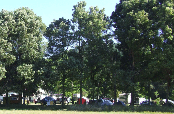 Wairakei Thermal Valley Campground