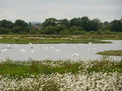 Lake Middleton Reserve
