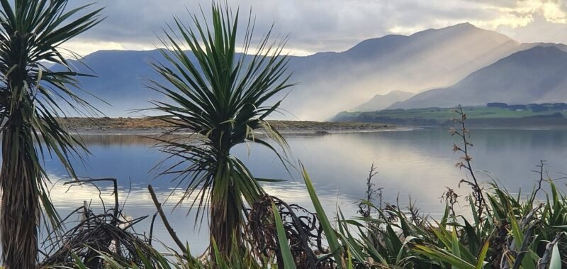 Lake Ferry Holiday Park