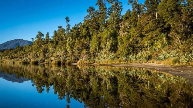 Lake Paringa Campsite