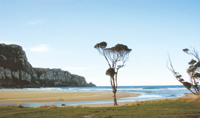 Purakaunui Bay Camping Area