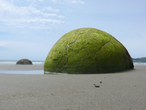 Moeraki Boulders Holiday Park