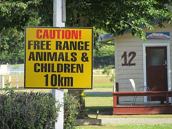 Methven Camping Ground