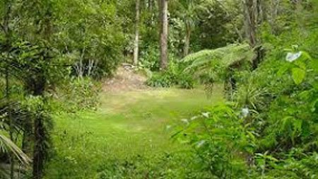 Mt Lees Reserve