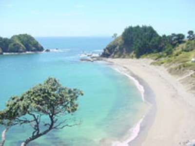 Otamure Bay Campsite