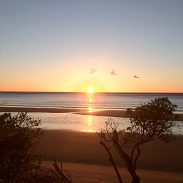 Pakawau Beach Park Camp