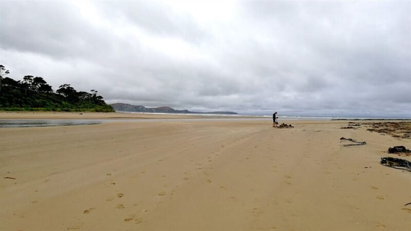 Papatowai Campsite