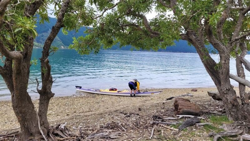 Pipi Beach Campsite
