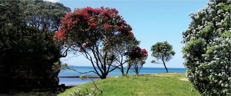Pinewoods Motor Park now Red Beach Top 10