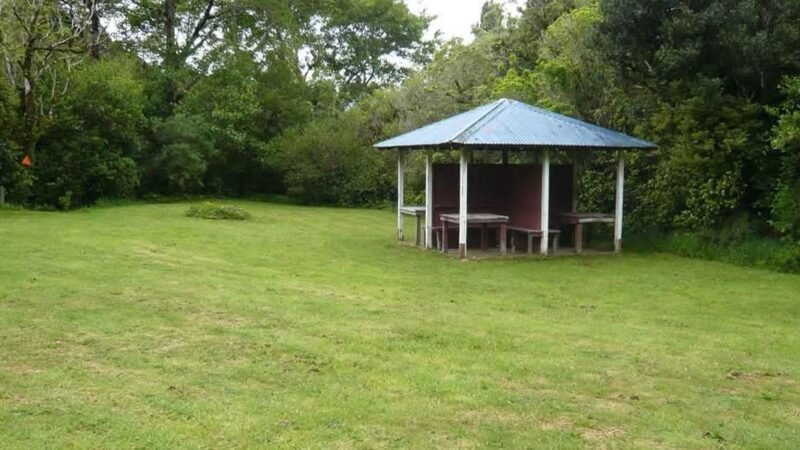 Tamaki West Campsite