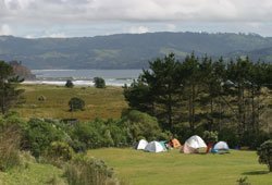 Tawharenui Regional Park