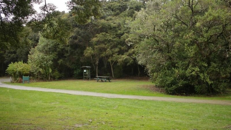 Trotters Gorge Campsite
