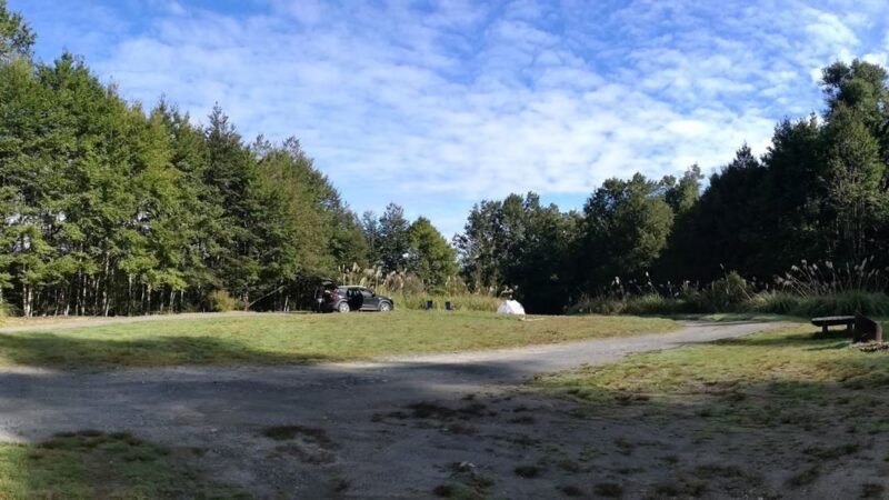 Urchin Campsite