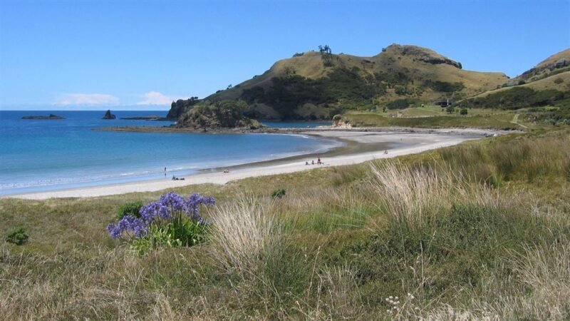 Medlands Beach Campsite